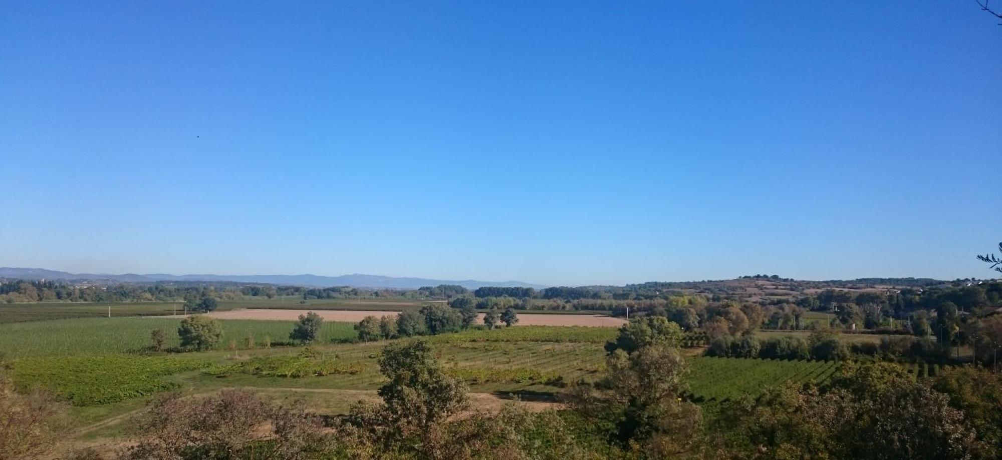 Camping Les Amandiers Castelnau-de-Guers Kültér fotó